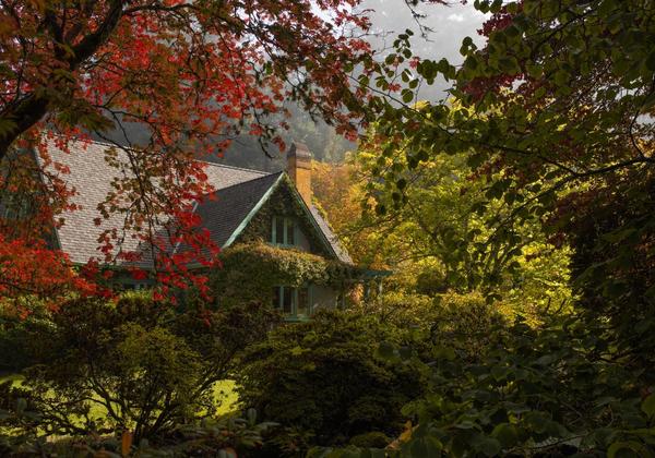 Cottage peeking through vibrant fall foliage