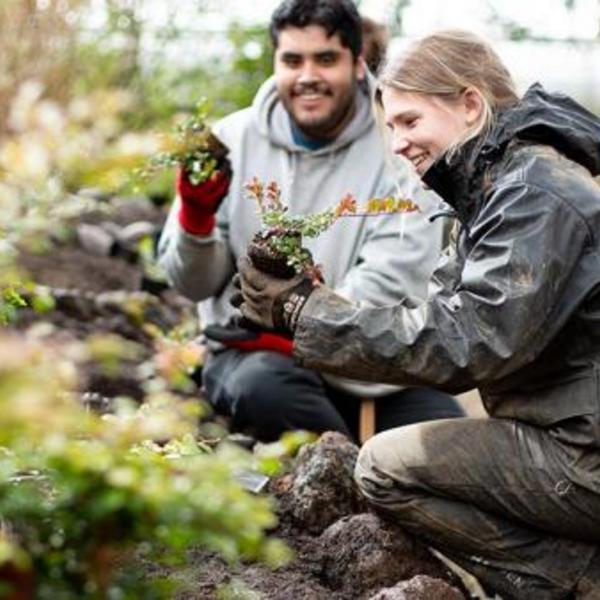 Two students working with plants