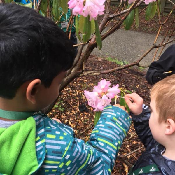 Two kids learning how to pollinate a flower